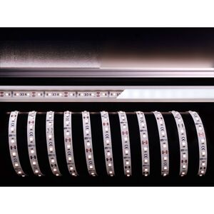 Dekolight LED Stripe 2835-60-12V -6000K-5m-IP20 FLEX system Neon Schlauch