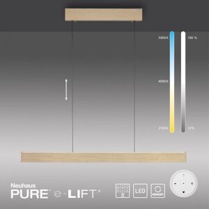 Paul Neuhaus 2570-60 PURE E-MOTION LED Pendelleuchte messing matt höhenverstellbar