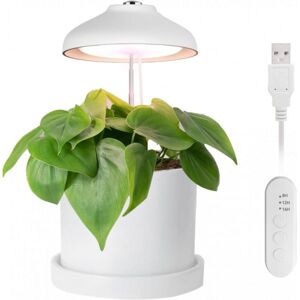 Enne Interior Enne Bijou Grow -plantebelysning, USB, 5 W, 240 lm, hvid