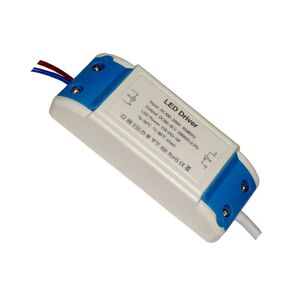 Ledsone Blåt Hus 24w Led Driver Strømforsyning Transformer Ac - 240v - Dc Konstant Strøm Led Driver