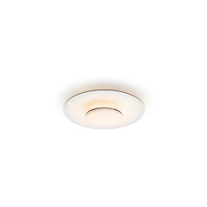 Philips Funktionel Garnet loftslampe, 40 W, LED, 4200 lm, IP20, Sort, Hvid