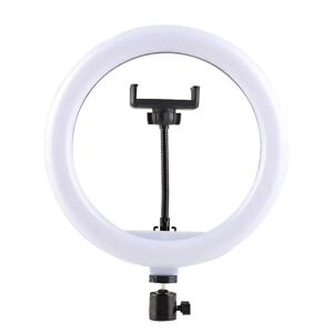 FMYSJ 30 cm Selfie Ring Light, dæmpbar Desktop Led Lamp Camera Ringlight (FMY)