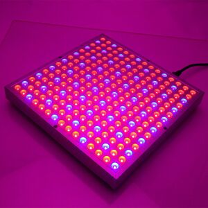 UV Grow Light V LED Full Spectrum Plant f.eks Lampe til indendørs hydroponisk plante 45W