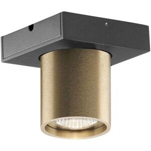 Light-Point - Focus Mini 1 LED Loftlampe 3000K Brass