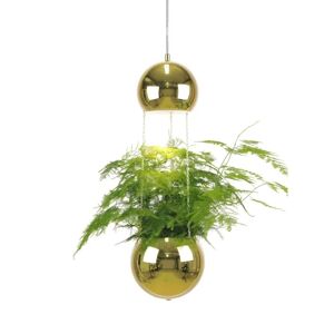 Globen Lighting - Mini Planter Pendel Brass