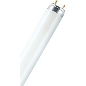 Ledvance Lumilux T5 Lysstofrør, 30 Cm, 8w/840, 4000k  Hvid