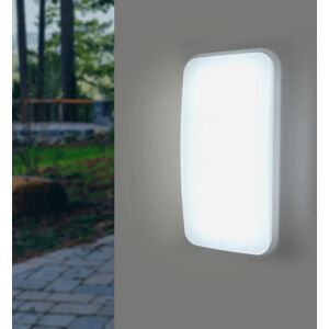 Applique LED Murale 20W Rectangulaire IP65 (Pack de 5) - Blanc Froid 6000K - 8000K - SILAMP