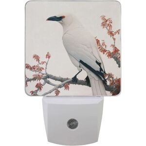 Veilleuse (White Crow) Capteur Automatique Du Crépuscule À L'aube Lampe De Sommeil Led Économie D'énergie - Publicité