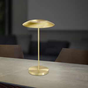 HELL CURLING Lampe de table LED avec variateur, 50310/1-01,