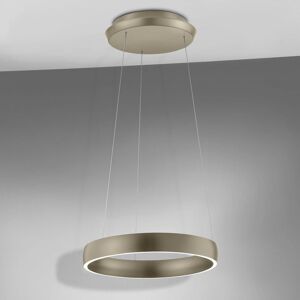 Knapstein Sara Suspension LED avec variateur et CCT, 51.495.34,