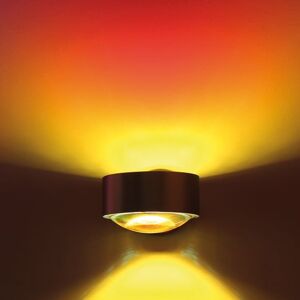 Top Light Filtre de couleur pour luminaire Puk Meg Maxx, 2-5038,