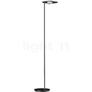 Holtkötter Nova Lampadaire indirect-OOG LED, platine