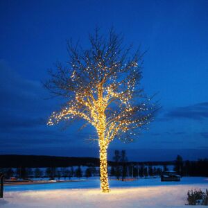 Markslöjd Guirlande lumineuse Chrissline extra chaud 50 LED - Publicité