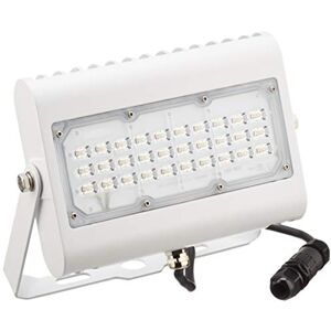 Rutec Projecteur LED Prime, 50 W, blanc neutre 840, IP65, 6000 lm, 4000 K. Publicité