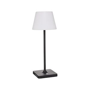 Atmosphera Lampe d'extérieur 14 LED Blanc plusieurs densités d'éclairage D 15 x H 39 cm - Publicité