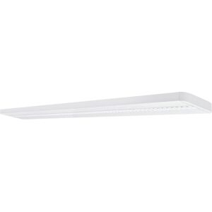 LEDVANCE LINEAR IndiviLED® DIRECT EMERGENCY 1500 50 W 3000 K EM - Lampes murales et de plafond