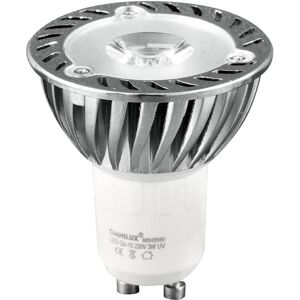 OMNILUX GU-10 230V 1x3W LED UV activée - Lampes LED socle GU10