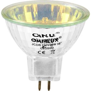 OMNILUX JCDR 230V/35W GX-5.3 1500h jaune - Lampes halogène, socle G5.3