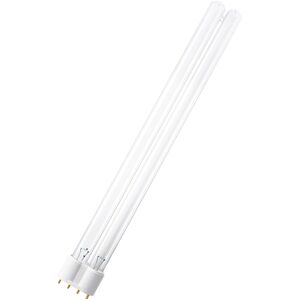 LEDVANCE UVC DULUX L 24W 2G11 - Lampes basse consommation, socle 2G11