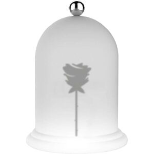 MYYOUR lampe de table ROSE LIGHT TALES COLLECTION (LED - Poleasy Illuminable et acier)