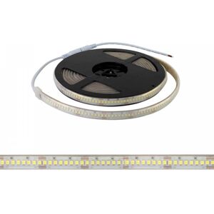 LEDDIRETTO Striscia LED Professional 2835/224 - IP67 - 25W/m - 2.900lm/m- 5m - 24V