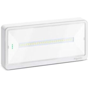 Schneider Lampada Di Emergenza Exiway Light Se-Sa, Autoalimentato Standard,