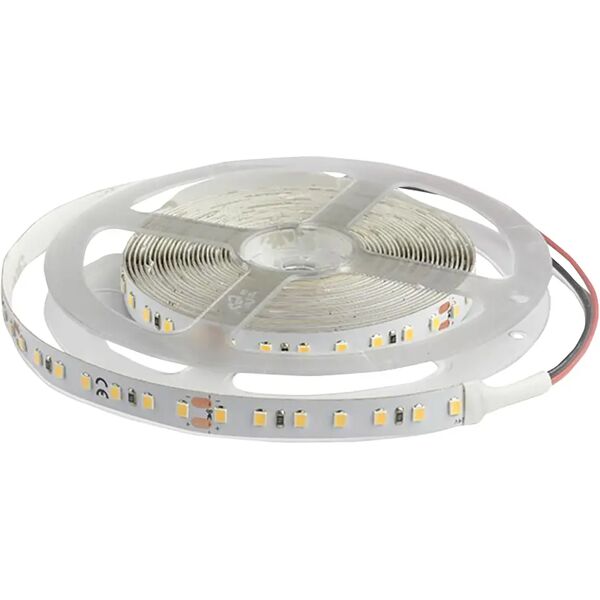 tecnomat strip led suprema da interno 24v 5m 10w/m=50w 5500 lumen 4000k luce bianca ip20