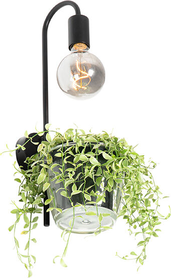 QAZQA Moderne wandlamp zwart met glas - Roslini