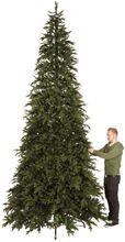 Trend Collection Canyon pine 4 meter kunstig juletre