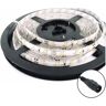 Prok Fita 300 Leds 2835 Branco Frio 12V 5M