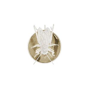 Boca do lobo Filigree Cricket Wall Lamp Silver