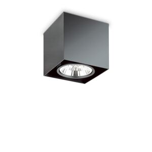 Netlighting Mood Indoor 1 Light Surface Mounted Ceiling Lamp Black GU10