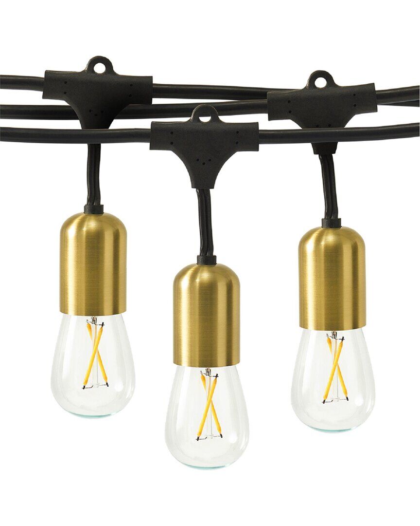 BRIGHTECH Glow 48' 15 Bulb LED Heavy Duty Hanging String Lights Black NoSize