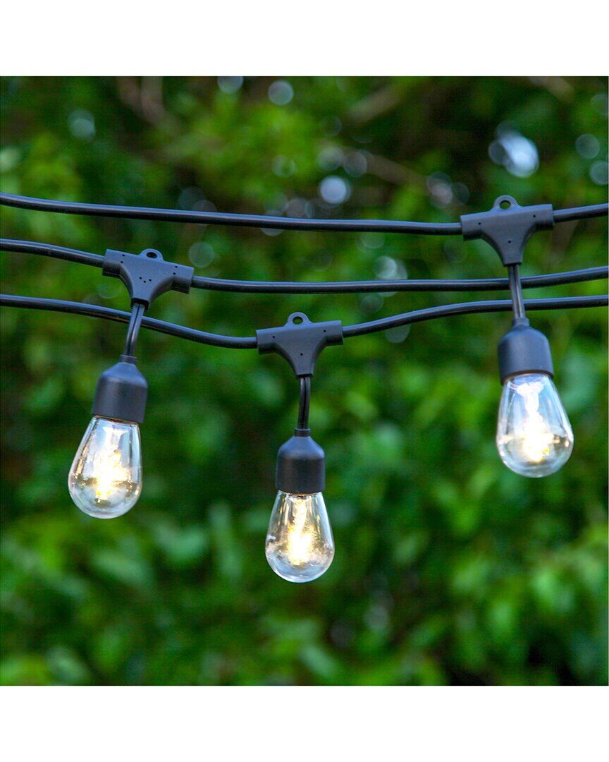BRIGHTECH Ambience Pro 27' 15 Bulb LED Solar Powered Hanging String Lights Black NoSize