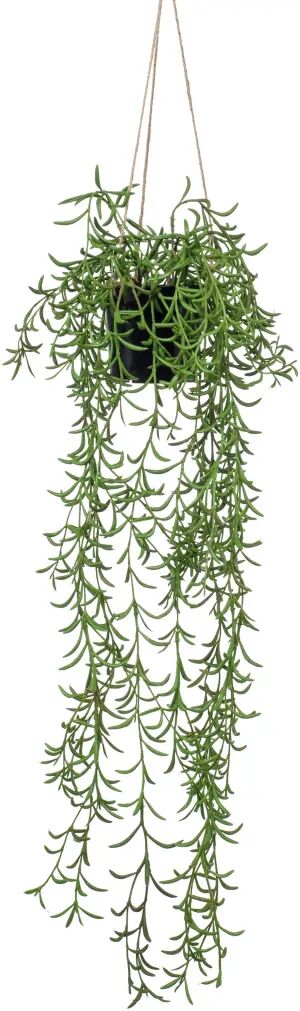 Emerald Buisson suspendu senecio artificiel en pot 70 cm