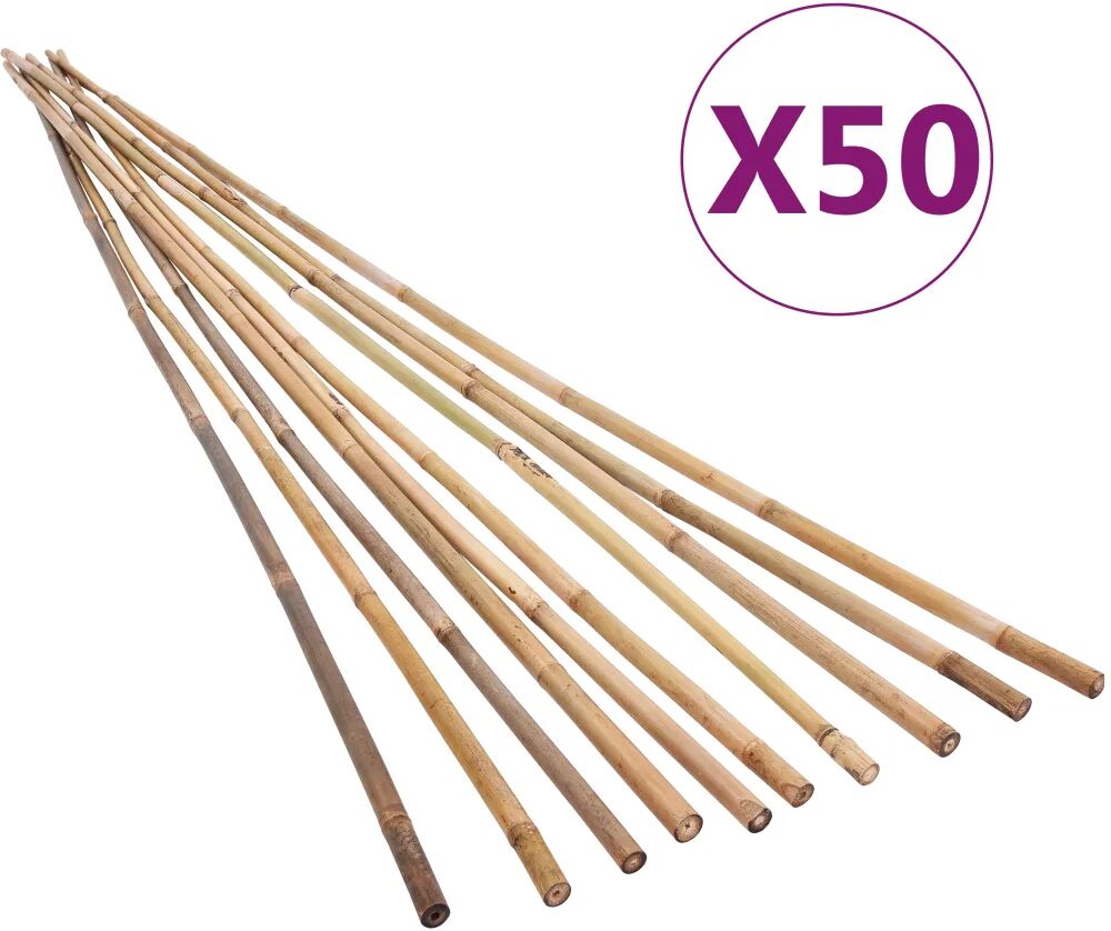 vidaXL Piquets de jardin Bambou 50 pcs 150 cm