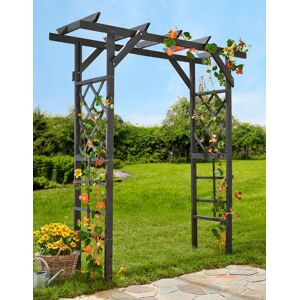 promadino Rosenbogen »Pergola Ben«, BxTxH: 200x65x208 cm, anthrazit anthrazit