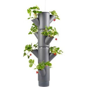 Gusta Garden Anzuchttopf »STRAWBERRY hanging anthrazit«, (1 St.) grau