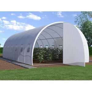 Vente-unique.ch Foliengewächshaus Folientunnel mit Tür - 18 m² - 600 x 300 x 200 cm - Verzinkter Stahl - ALOCASIA