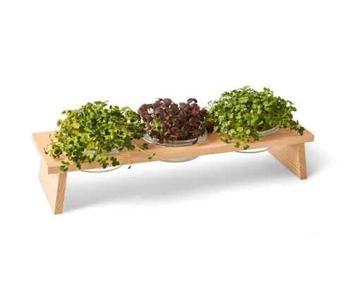 Tchibo 3er Microgreens-Bank - Tchibo - Naturfarben Esche