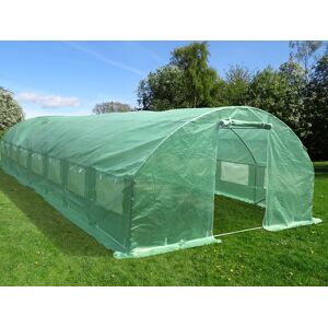 Dancover Foliengewächshaus 4x10,6x2m, 42,4m², Grün