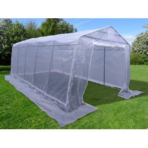 Dancover Foliengewächshaus, 3,3x6x2,4m, PE, 19,8m², Transparent