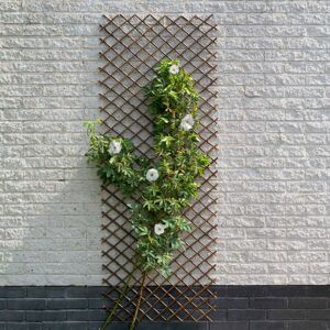 Nature espalier 30x180 cm naturligt piletræ brun