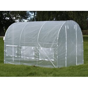 Dancover Polytunnel Drivhus 2x3x2m, 6m², Transparent