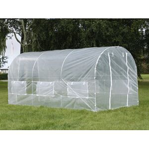 Dancover Polytunnel Drivhus 2x4,5x2m, 9m², Transparent