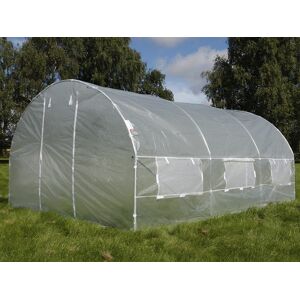 Dancover Polytunnel Drivhus 3x3x2m, 9m², Transparent