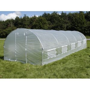 Dancover Polytunnel Drivhus 3x8x2m, 24m², Transparent