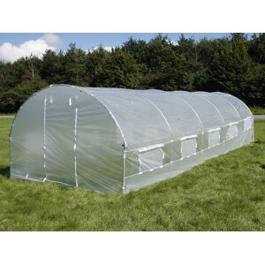 Dancover Polytunnel Drivhus 4x6,6x2m, 26,4m², Transparent