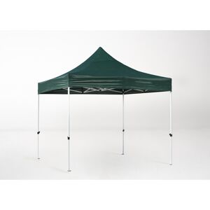 RegalosMiguel Carpa 3x3 Master Plus - Verde