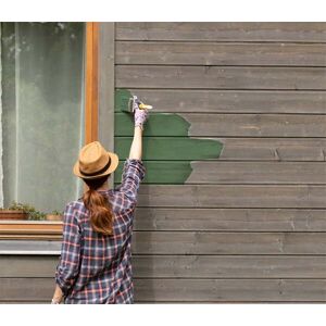 BOX DECO COULEURS Vert Cactus-Peinture naturelle ecologique interieur exterieur aspect satin Natura - 1L